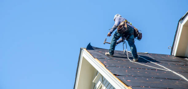 Best Storm Damage Roof Repair  in Bronx, NY